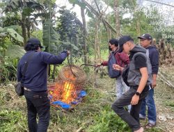 Polresta Malang Kota Musnahkan Arena Judi Sabung Ayam di Kedungkandang