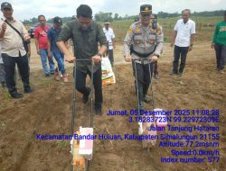 Respon Cepat dan Dekat dengan Masyarakat, Kapolsek Perdagangan Hadiri Penanaman Perdana Jagung di Lahan 72,5 H PTPN IV Bandar Betsy