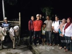 Gara-Gara 24 Ekor Sapi Oknum Anggota DPRD Inisial IG Menjadi Viral di Medsos