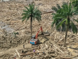 Resmi Naik ke Tahap Penyidikan, Bareskrim Polri Selidiki Dugaan Kejahatan Lingkungan hingga TPPU Korporasi