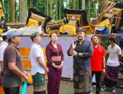 Wabup Badung Bagus Alit Sucipta Tinjau DTW Alas Pala Sangeh