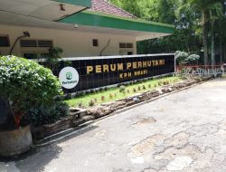 Desa di Tepi Hutan Ngawi Terganjal Izin Pembangunan KDMP, Perhutani KPH: Alih Fungsi Wilayah Wewenang Pusat