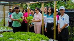 Dorong Ketahanan Pangan, Ketua TP PKK Badung Panen Melon dan Sayur Hidroponik di Desa Selat