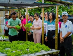 Dorong Ketahanan Pangan, Ketua TP PKK Badung Panen Melon dan Sayur Hidroponik di Desa Selat