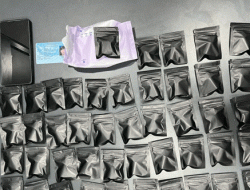 Narkoba Menyusup Hunian Elite, 82 Cartridge Etomidate Dibongkar, Dua Perempuan Dicokok Polda Metro