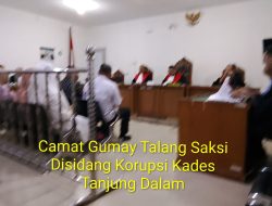 Sidang Terdakwa Suhendratno Kades Tanjung Dalam di PN Palembang Hadirkan 8 Saksi, Ada Camat Gumay Talang