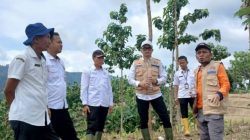 Menteri PU-PR Rencana Hadir Pantau Lokasi Bencana dan Relokasi Korban Tanah Retak. Sekda Tegal: Jumat Besok Pak Menteri Datang