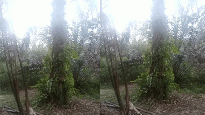 Diduga Kuasai Lahan Warga, Oknum BJ dan HD Ancam Pemilik Sah Kebun Sawit di Muara Medak