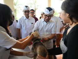 Tekankan Harmoni Alam Lewat Aksi Nyata, Bupati Badung Tebar Benih Ikan dan Beri Vaksin Rabies Gratis