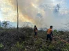 1,5 Hektare Lahan di Binturu Terbakar, Penyebabnya Belum Jelas