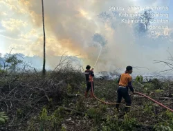 1,5 Hektare Lahan di Binturu Terbakar, Penyebabnya Belum Jelas