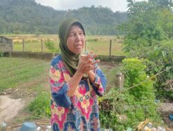 Padang Pariaman: Tanah Longsor dan Harapan yang Tertunda