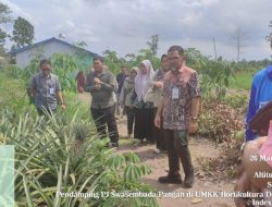 Kementan RI Monitoring Bantuan dan Capaian LTT Padi di Batola