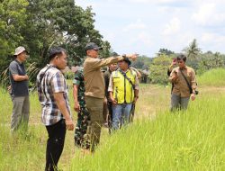 Bupati Bartim Survei Potensi Pertanian dan Perikanan, Soroti Irigasi dan Ketersediaan Bibit Ikan