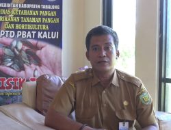 Produksi Melesat, Pembenihan Ikan Gabus Tabalong Dilirik Sejumlah Daerah di Kalsel