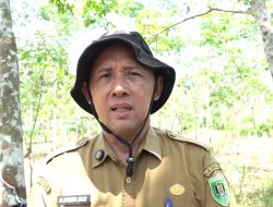 DKP3 Tabalong Usulkan Penambahan Tenaga Teknis di BBI, Dorong Peningkatan Produksi Benih Ikan