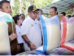 Rano Karno Gandeng Pariaman, Pasokan Pangan Jakarta Diperkuat Lewat Skema Contract Farming