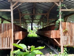 Diduga Bermasalah, Proyek BUMDes Desa Kandangan Senilai Rp200 Juta Mangkrak dan Minim Transparansi