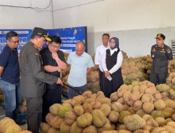 Karantina Dorong Ekspor Durian Sulteng Tembus Pasar Tiongkok
