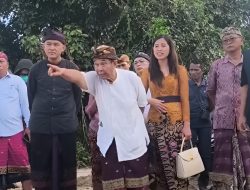 Terbukti Langgar Dua UU, Proyek Kura Kura Bali Dihentikan oleh DPRD Bali