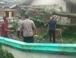 Hujan Deras dan Angin Kencang, Sejumlah Rumah di Bondowoso Rusak, BPBD Langsung Turun Tangan