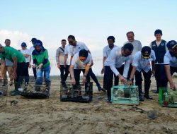 Bupati Badung Dukung Aksi Kolaborasi Hijau, Lestarikan Mangrove Tahura Ngurah Rai untuk Masa Depan