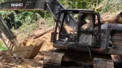 Sunyi Kekuasaan di Tengah Jerit Warga: Skandal Tambang Ilegal Sumbar Diprediksi Meledak Jadi Krisis Nasional