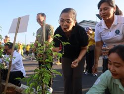 TP PKK Badung Perindah Ruas Jalan Kerobokan dengan Penanaman 150 Pohon Bugenvil