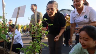 TP PKK Badung Perindah Ruas Jalan Kerobokan dengan Penanaman 150 Pohon Bugenvil