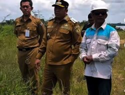 Bupati Batola Survey Lapangan, Cek Rencana Konsesi Tambang Pasir