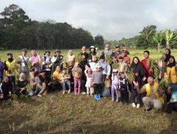 HAKTAWA Kembali Digelar, Keluarga Diajak Belajar Kehidupan dari Sawah