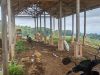 Kandang Ayam Rp200 Juta di Ngawi Mangkrak, Warga Desak Aparat Turun Tangan