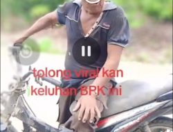 Viral di Tiktok Oknum DPRD Lahat Diduga Terima Bantuan 20 Ekor Sapi Jadi Sorotan