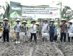 Musim Tanam Resmi Dimulai, Petani Bondowoso Minta Didengar Sebelum Aturan Ditetapkan