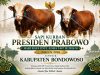 Sambut Idul Adha 1447 H, Presiden Prabowo Salurkan Hewan Kurban Berbobot Lebih 1 Ton ke Bondowoso