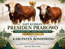 Sambut Idul Adha 1447 H, Presiden Prabowo Salurkan Hewan Kurban Berbobot Lebih 1 Ton ke Bondowoso