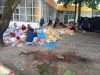 RS Bina Sehat Jember Adakan Kurban Sapi dan Kambing Setiap Tahun di Halaman Belakang Parkir
