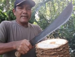 Optimalisasi Pengolahan Sagu, Kepala Desa Busung Indah, Simeulue,  Dorong Pemanfaatan Hasil Alam Lokal