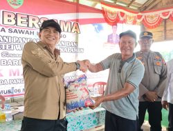 Panen Padi di Kalamus Gunakan Combine Harvester, Bupati Bartim Dorong Pertanian Modern
