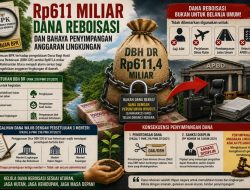 Rp611 Miliar Dana Reboisasi dan Bahaya Penyimpangan Anggaran Lingkungan