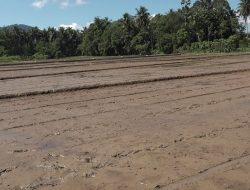 Perluas IP200, DKP3 Tabalong Usulkan Program Pompanisasi dan Pipanisasi ke Kementerian Pertanian