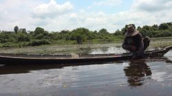 Meski Nihil Kasus Illegal Fishing, DKP3 Tabalong Perkuat Upaya Pencegahan