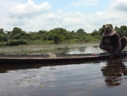 Meski Nihil Kasus Illegal Fishing, DKP3 Tabalong Perkuat Upaya Pencegahan