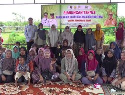 DKP3 Tabalong Beri Bimtek Pengolahan Tomat, Dorong Petani Tingkatkan Nilai Tambah Hasil Panen