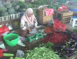 Pasokan Kurang, Harga Berbagai Jenis Cabai Melambung Naik