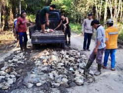Warga Desa Gumpa Gotong Royong Timbun Jalan Rusak dengan Batu Belah dan Sirtu