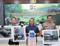 Aliran Dana Capai Rp1,8 Miliar, Polisi Bongkar TPPU Perdagangan Gading Gajah Sumatera