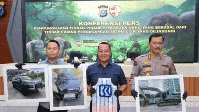 Aliran Dana Capai Rp1,8 Miliar, Polisi Bongkar TPPU Perdagangan Gading Gajah Sumatera