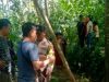 Ditemukan Kerangka Manusia di Bukit Tungu Dusun Rowo Desa Gambiran Kecamatan Kalisat Jember