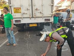Dahului Truk di Jalan Nasional Banyuwangi-Jember, Pengendara Motor Tewas di TKP